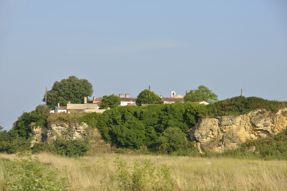 Côteaux calcaires du Marais poitevin