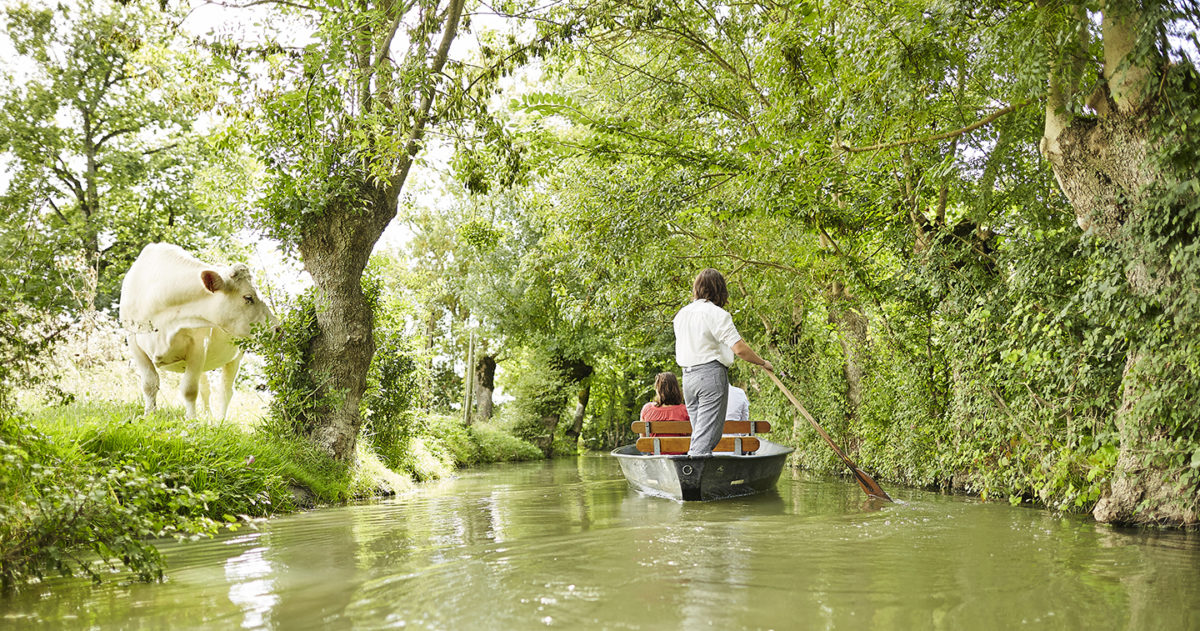 La "plate", idéal pour découvrir le marais mouillé et la Venise