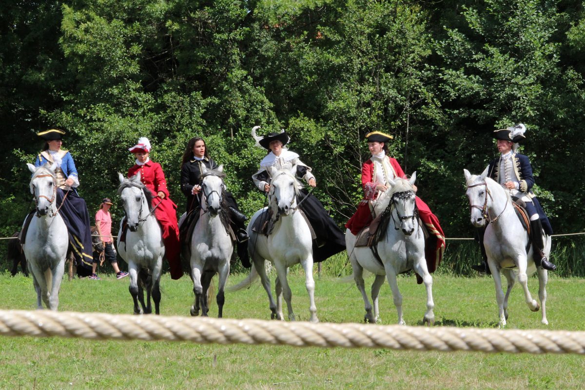 Festival-Histoire-France-Sainte-Hermine-25-1200x800