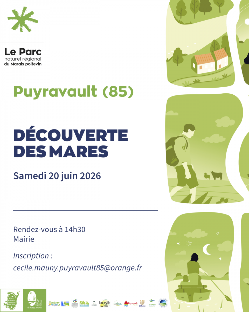 20-6-26-puyravault