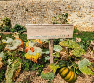 3-Le_Comptoir_Dechange1-400×353
