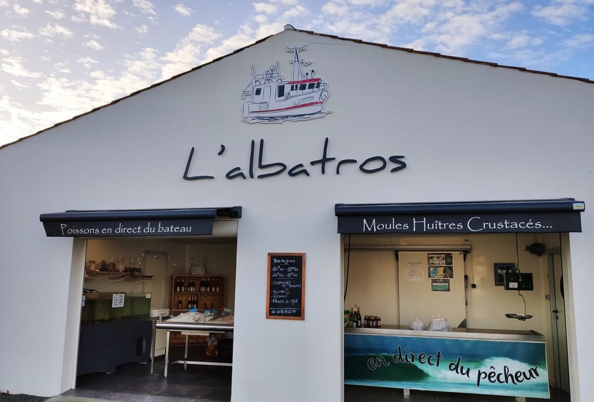 Albatros l’Aiguillon-sur-Mer