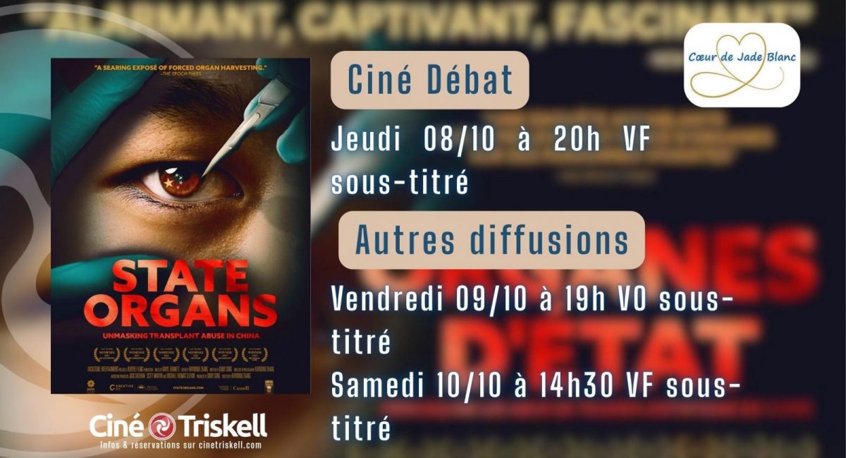 Carton – organes d’état luçon