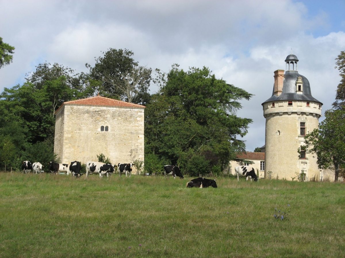 Colombier et tour Henri IV