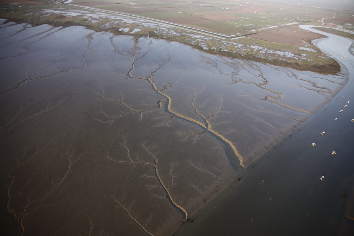 Estuaire de la Sèvre Niortaise_Réserve naturelle nationale de la baie de l’Aiguillon (1)