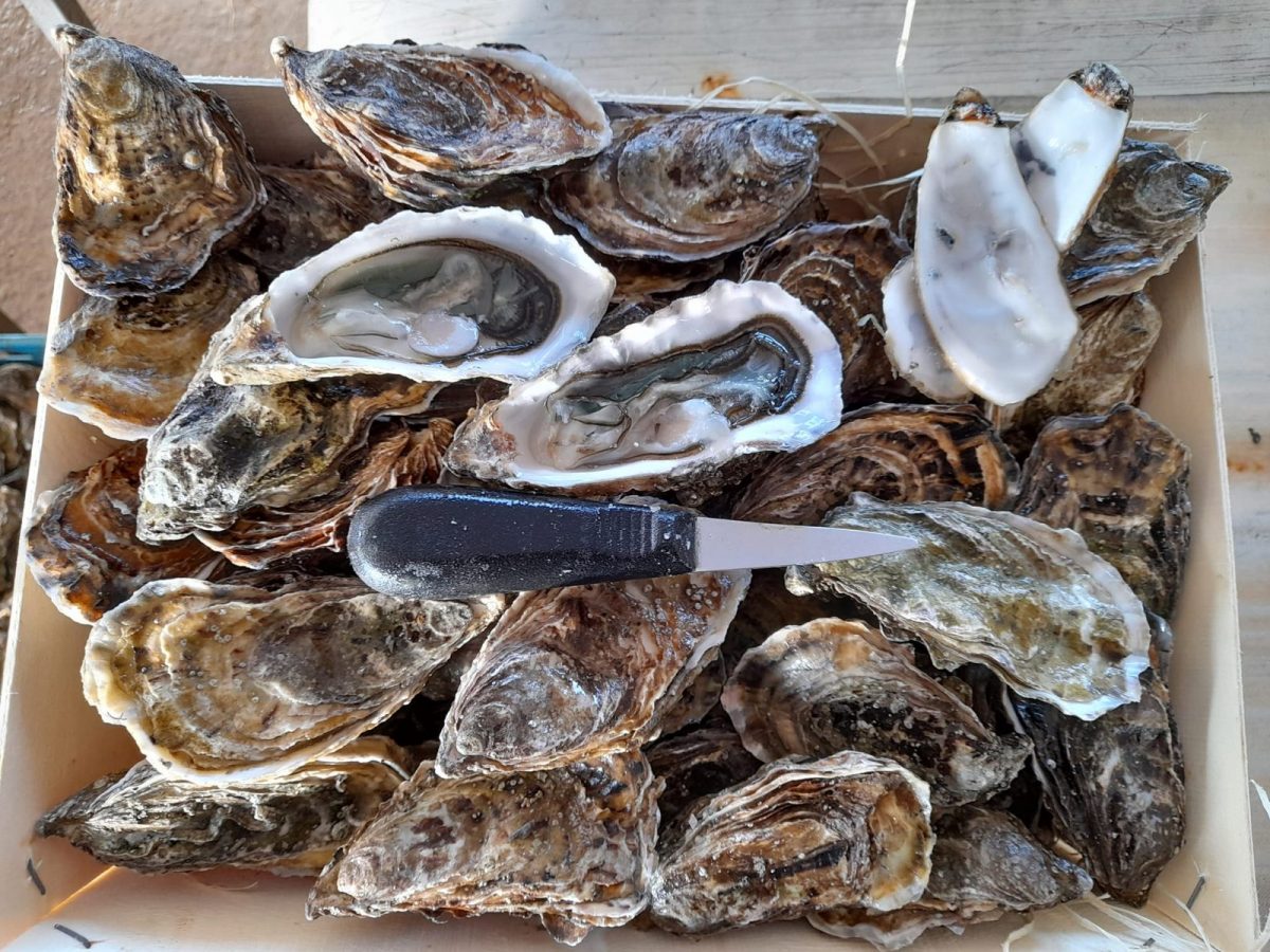 Halieutis-sea-food-L-aiguillon-la-presqu-ile-l-aiguillon-sur-mer-Huitres