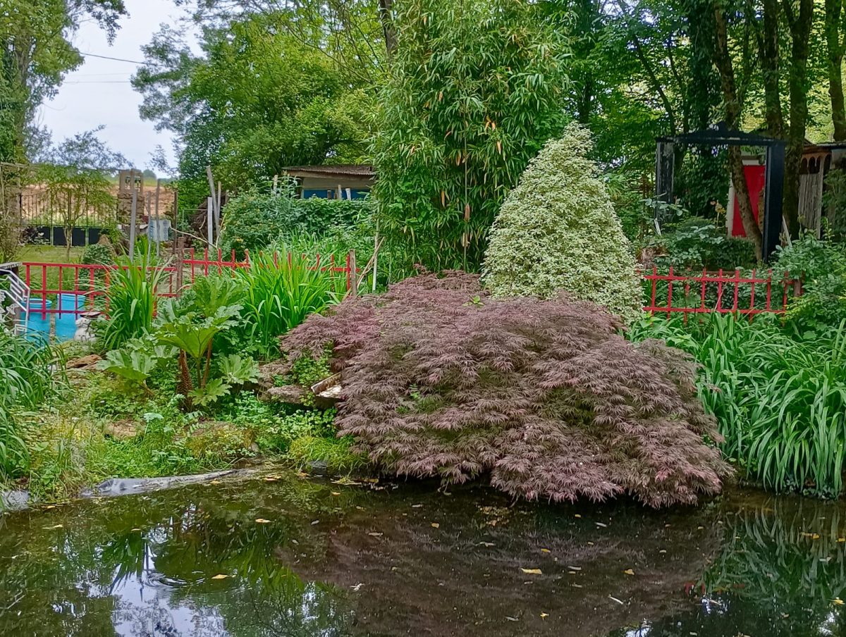 IMG_20240513_162548_HDR