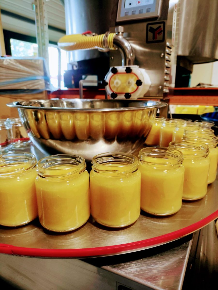 IMG_20241031_111121-EDIT