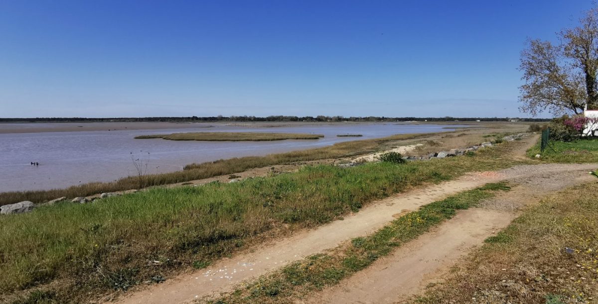 IMG-20250411-120310-222084af3d3f4447978b237247d6738a