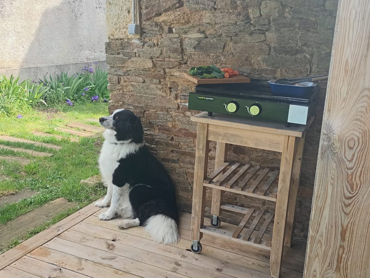 IMG_20260328_104001514_HDR