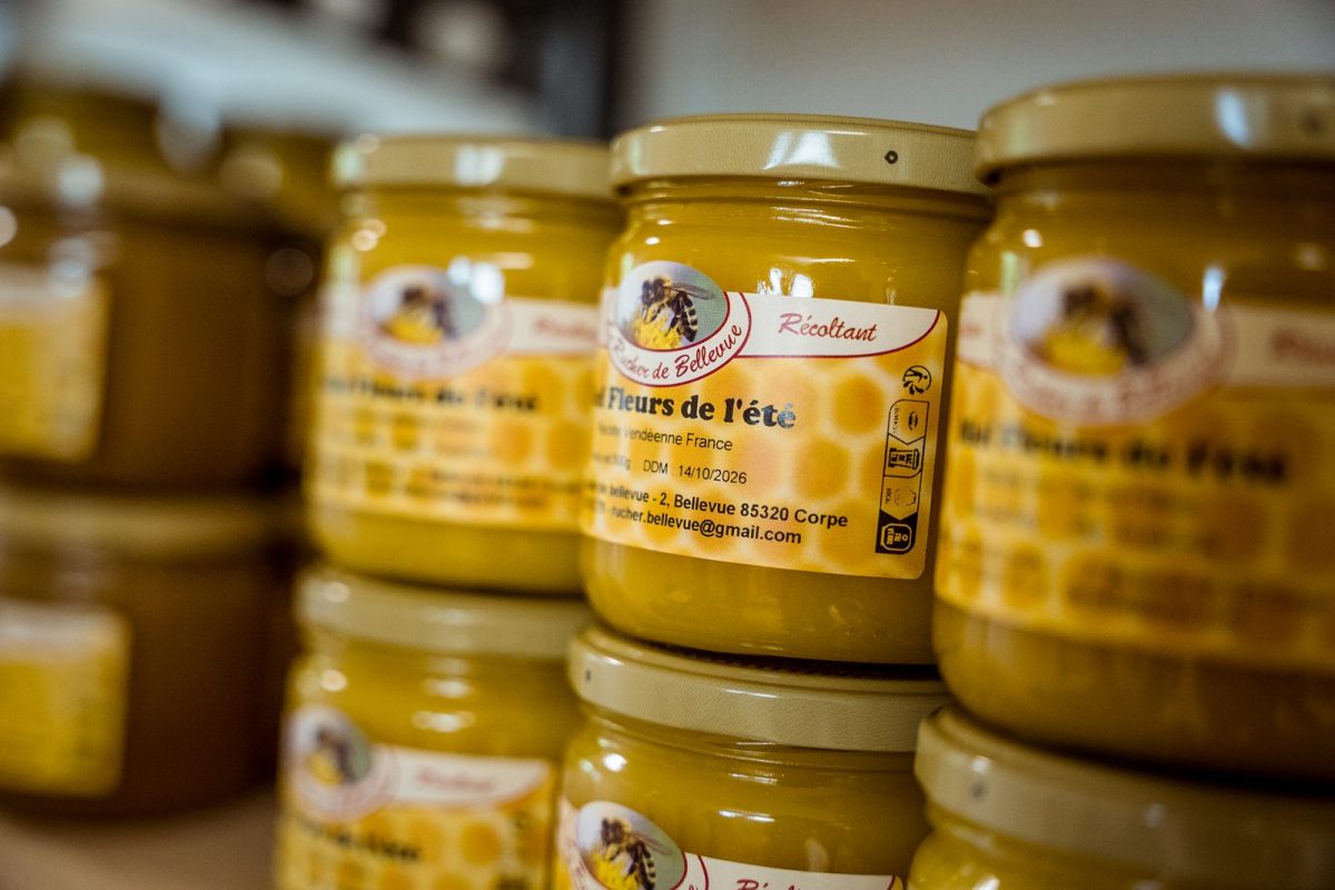 Le Rucher de Bellevue©D.Herbreteau-05768