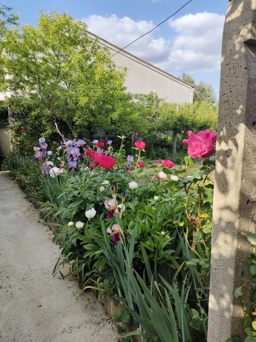 Meublé Fleural-Luçon_Jardin (1)
