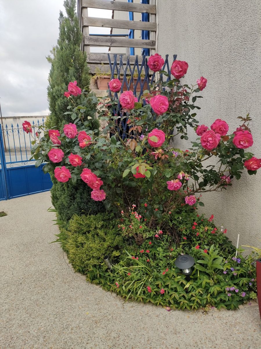 Meublé Marine_Luçon_Jardin (8)
