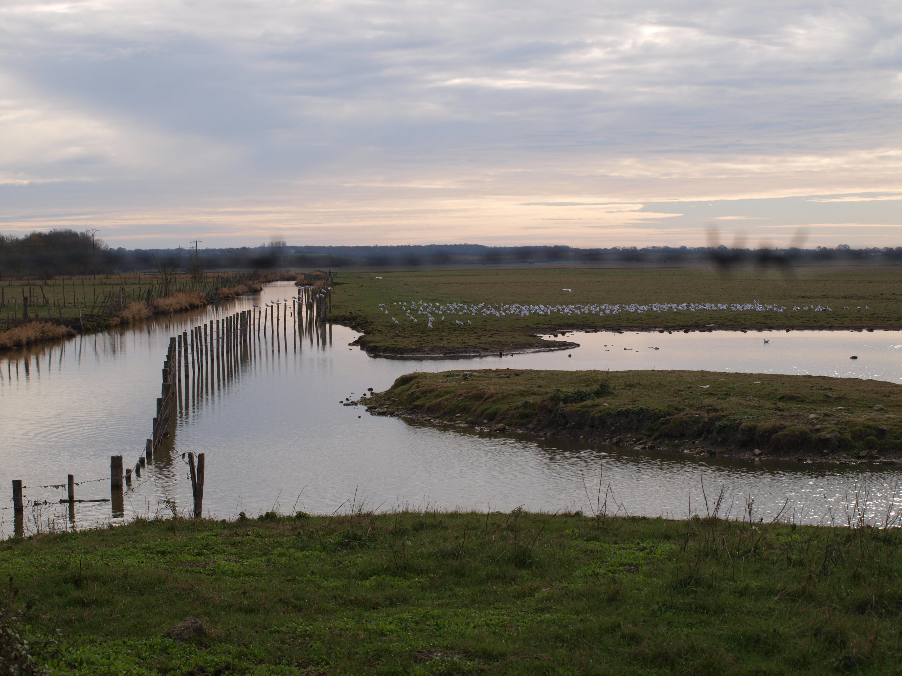 SENTIER PÉDESTRE LES ARDILLERS