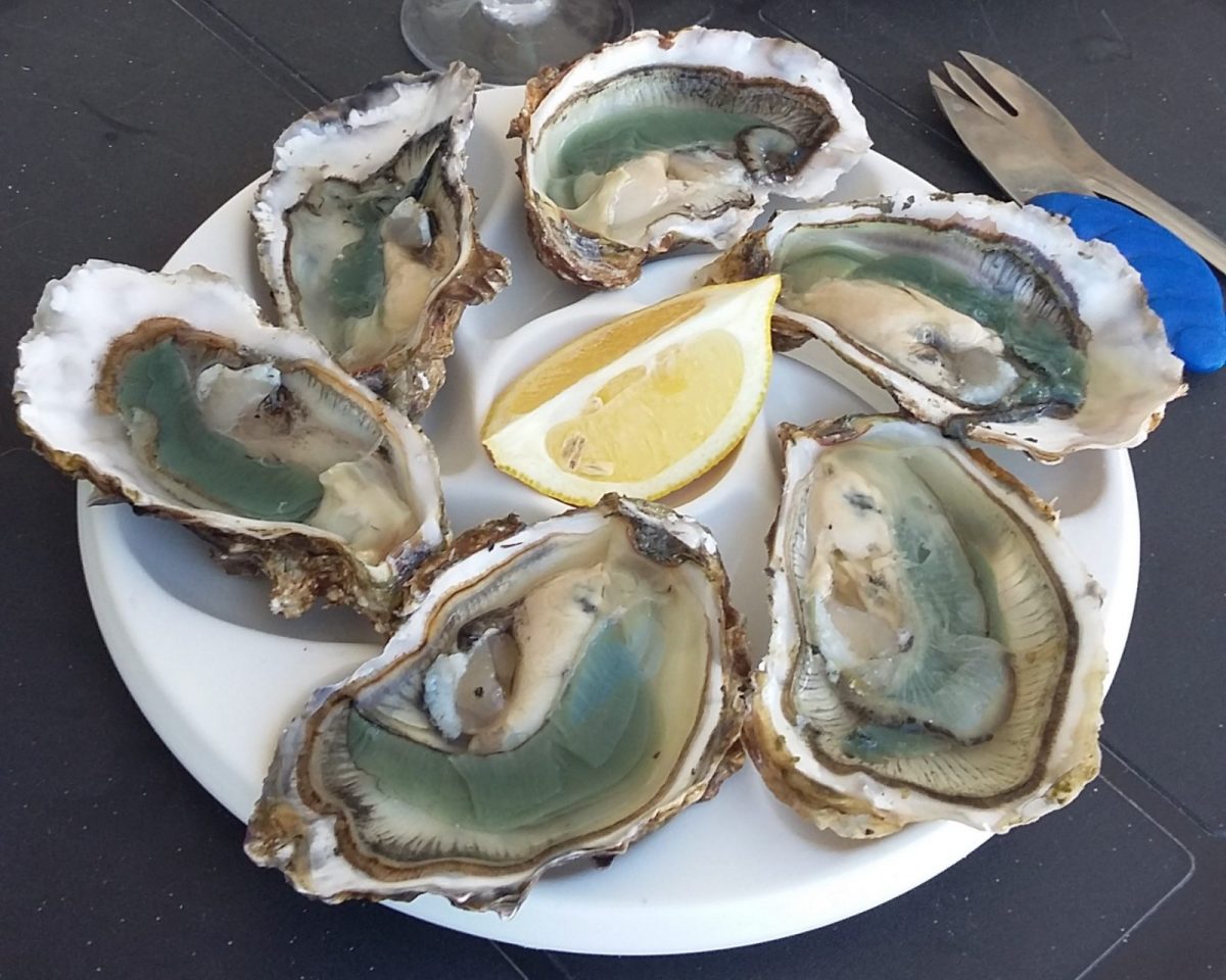 Producteur-charneau-la-faute-sur-mer-l’aiguillon-la-presqu-ile-assiette-huitres