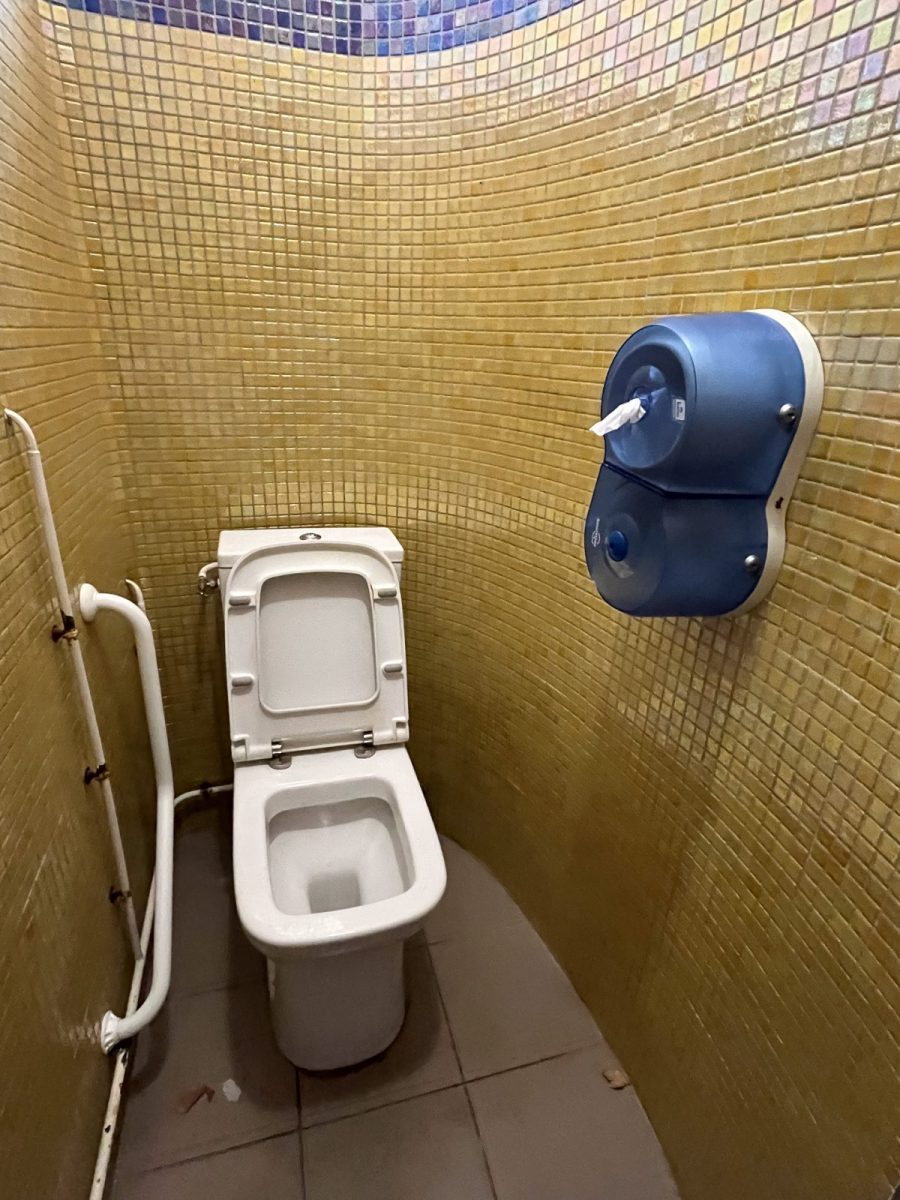Toilettes-publiques-Dumaine-Luçon (2)