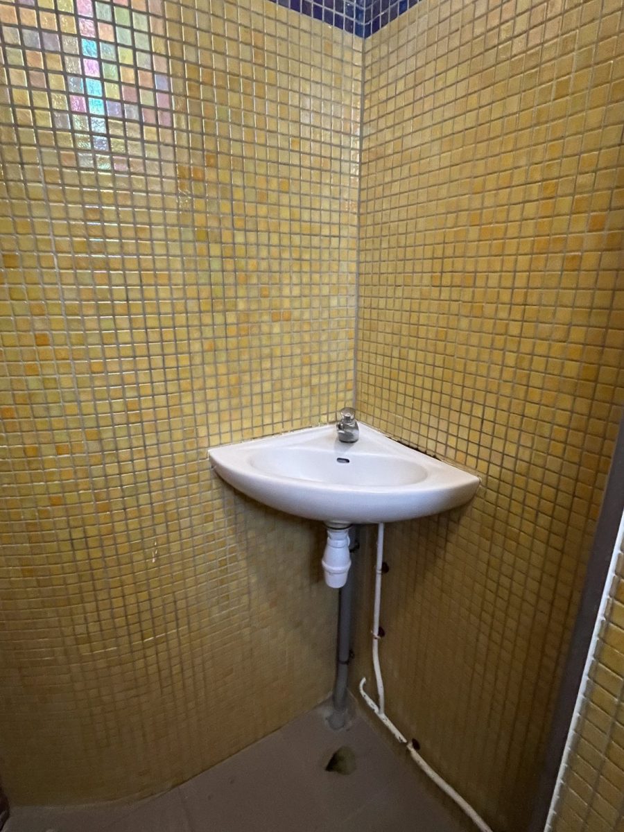 Toilettes-publiques-Dumaine-Luçon (3)