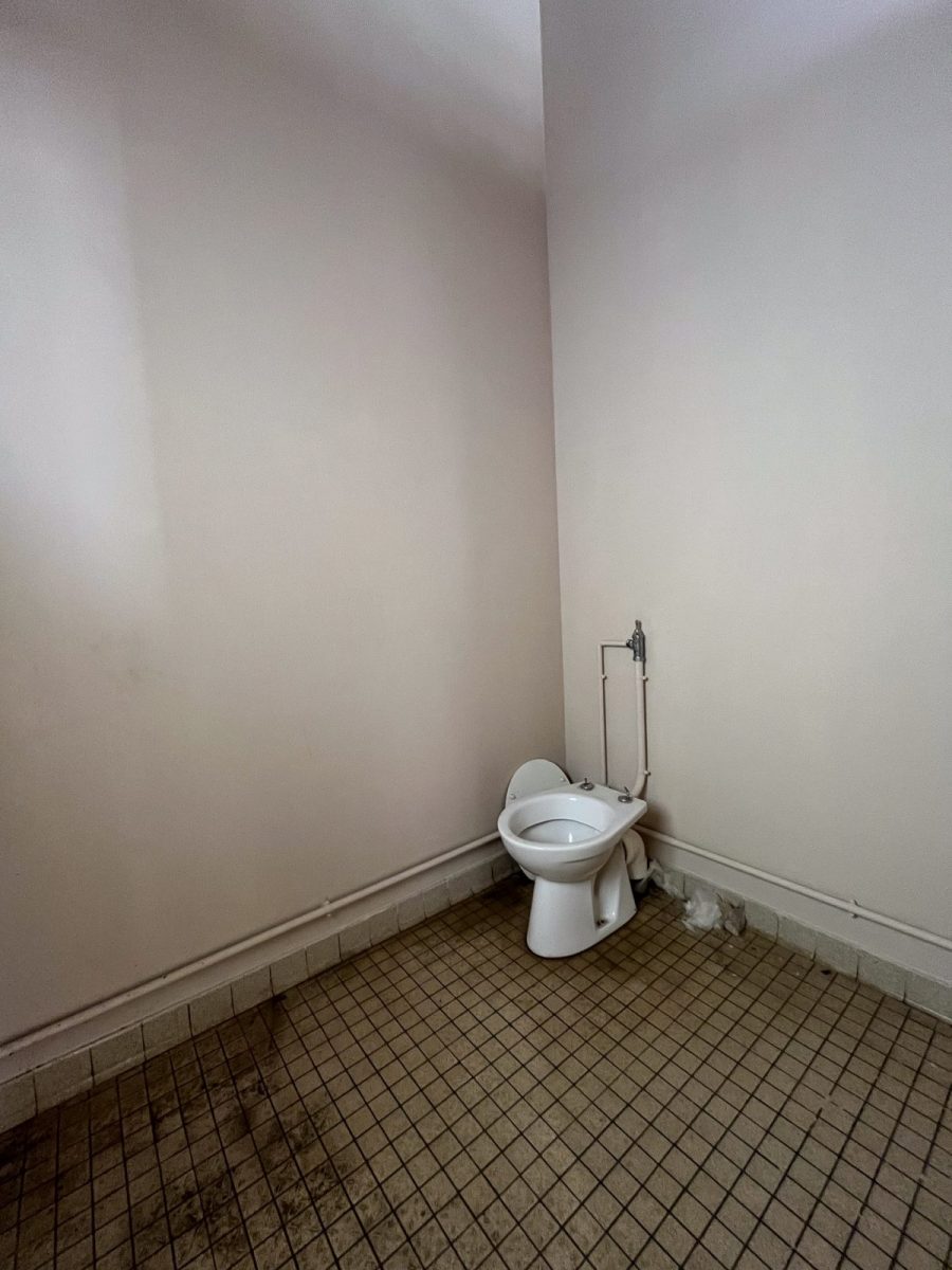 Toilettes-publiques-Mareuil-sur-Lay-Eglise (2)