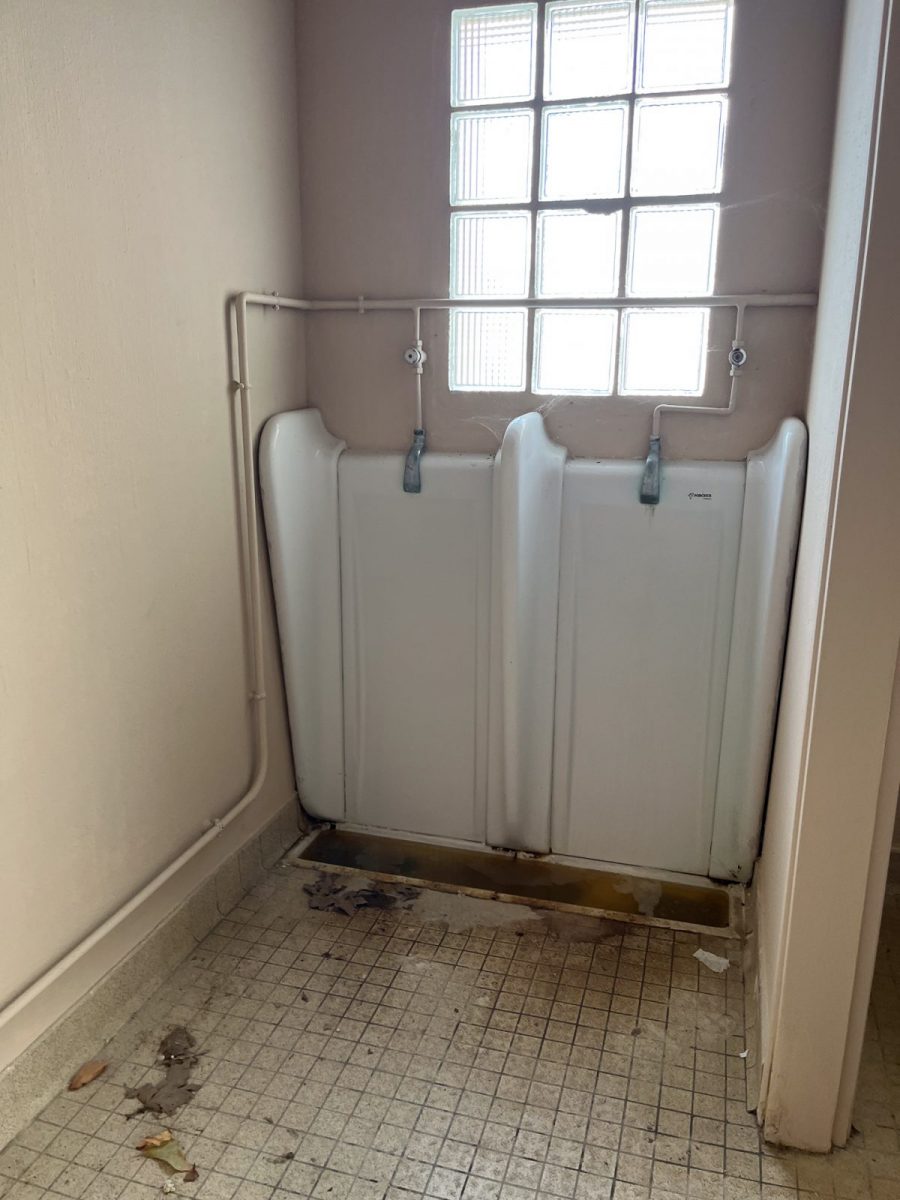 Toilettes-publiques-Mareuil-sur-Lay-Eglise (5)