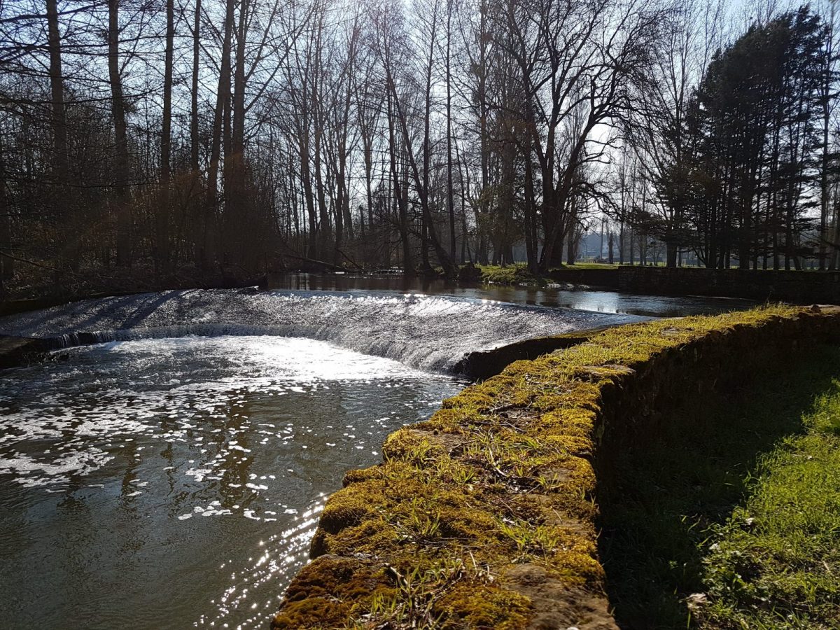 accueil bief en periode hivernale