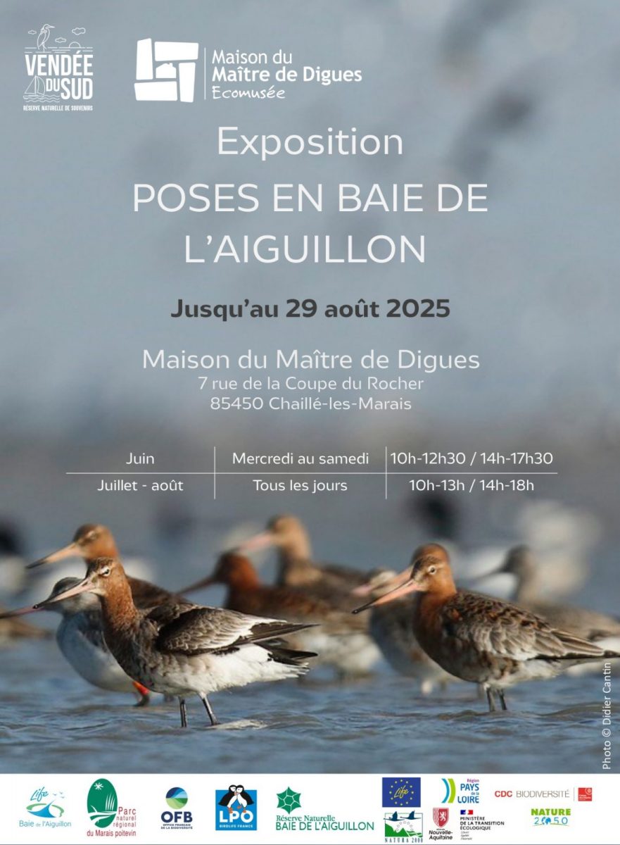 affiche_expo_maison-maitre-digue_page-0001 (1)