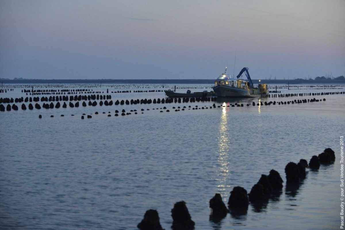 baie-20de-20laiguillon-20sur-20mer-c82f863732864e6aad243c536fed3609