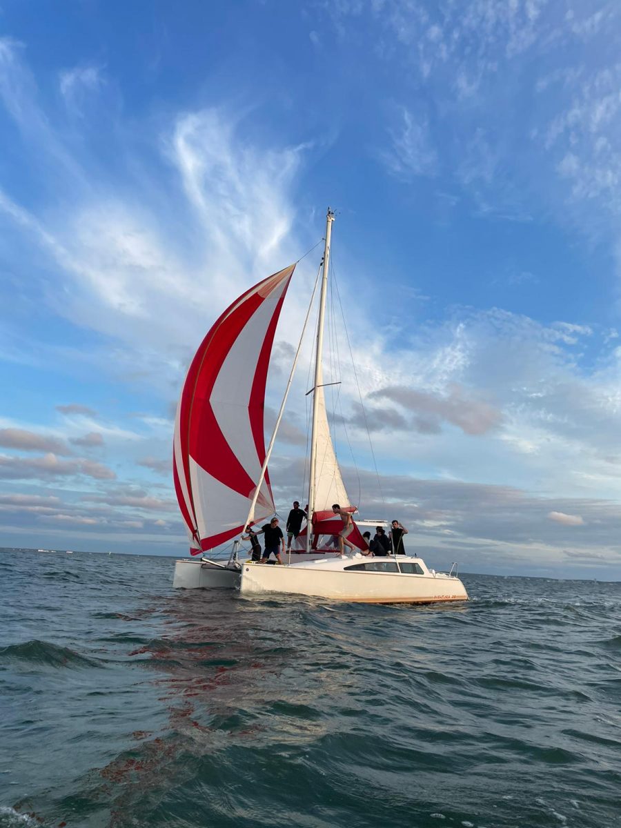 catamaran 3