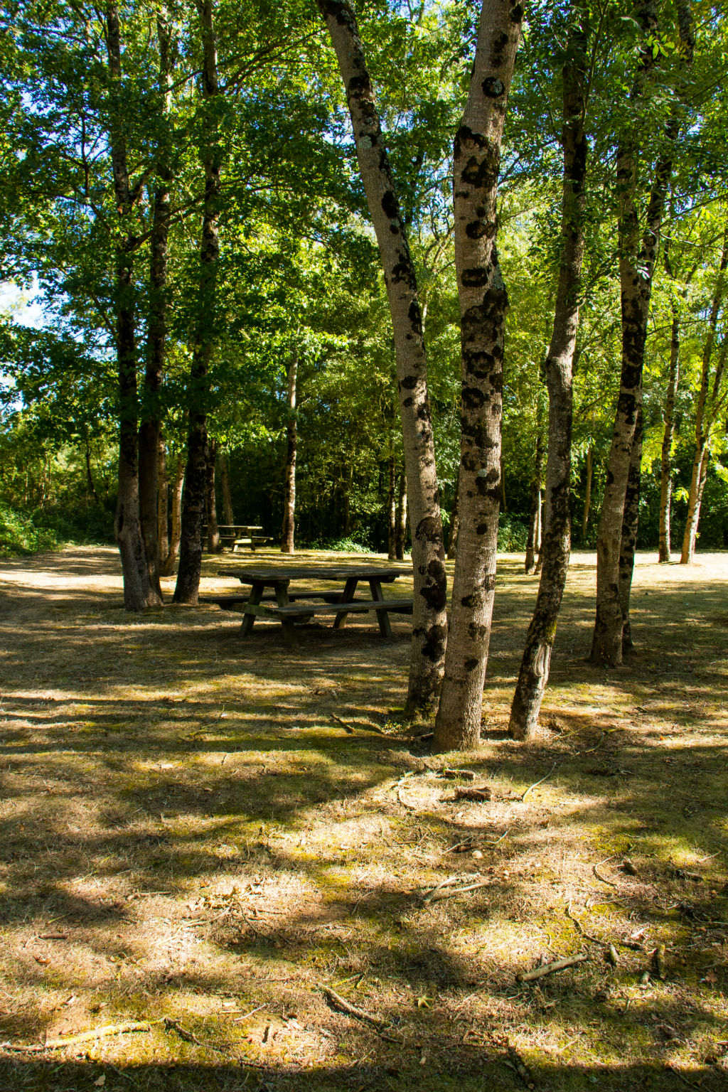 Sentier pédestre Les Chênes