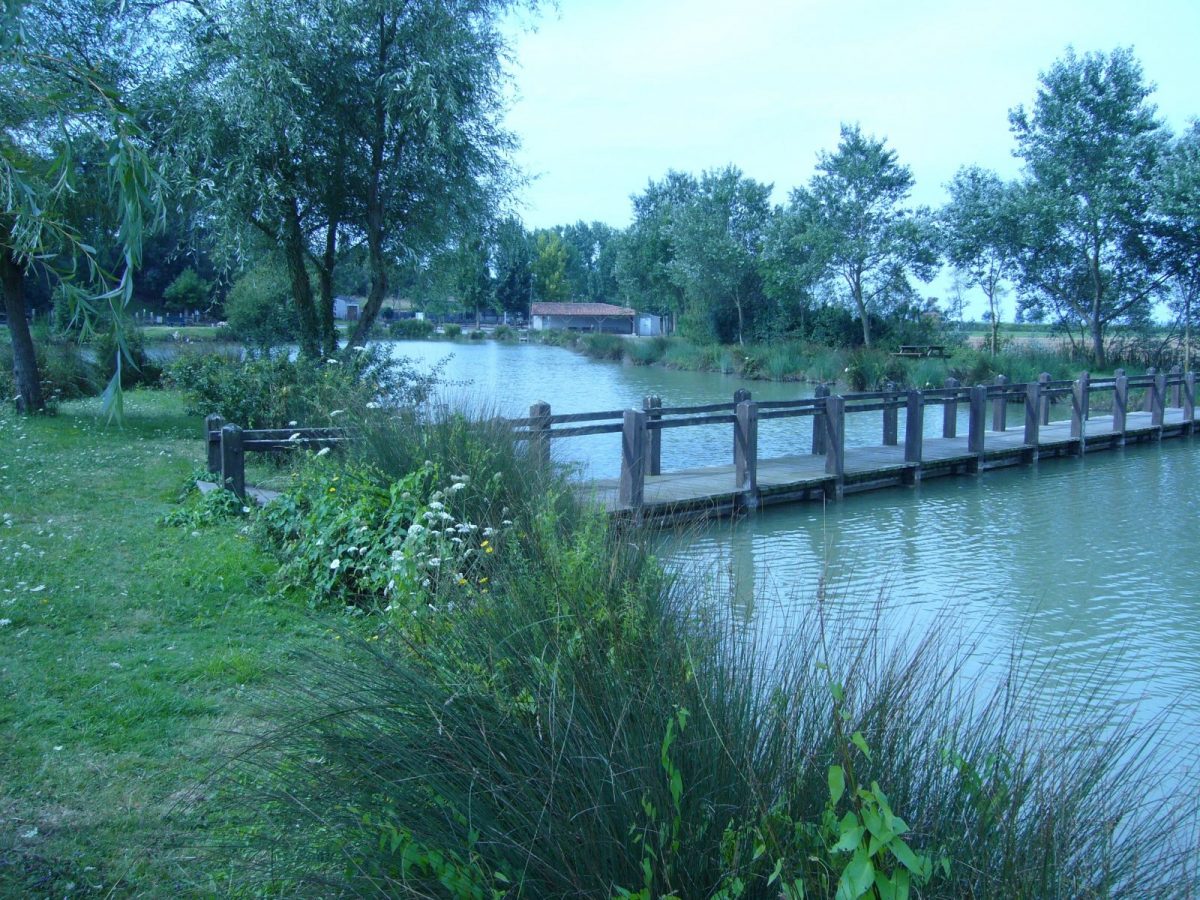 d9eeb0fc-f20b-4ab0-99e6-b92cc593eca9