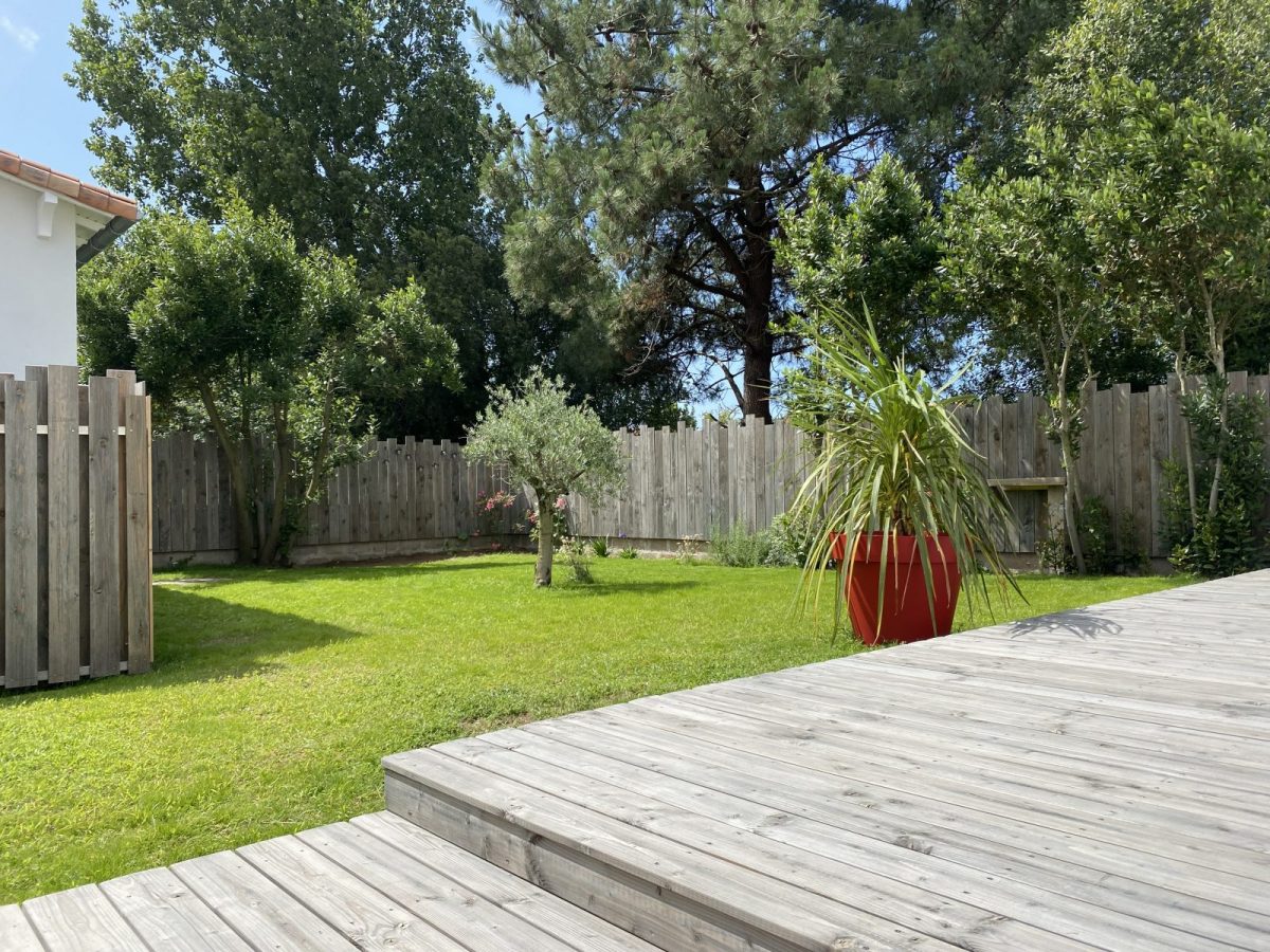 photo19