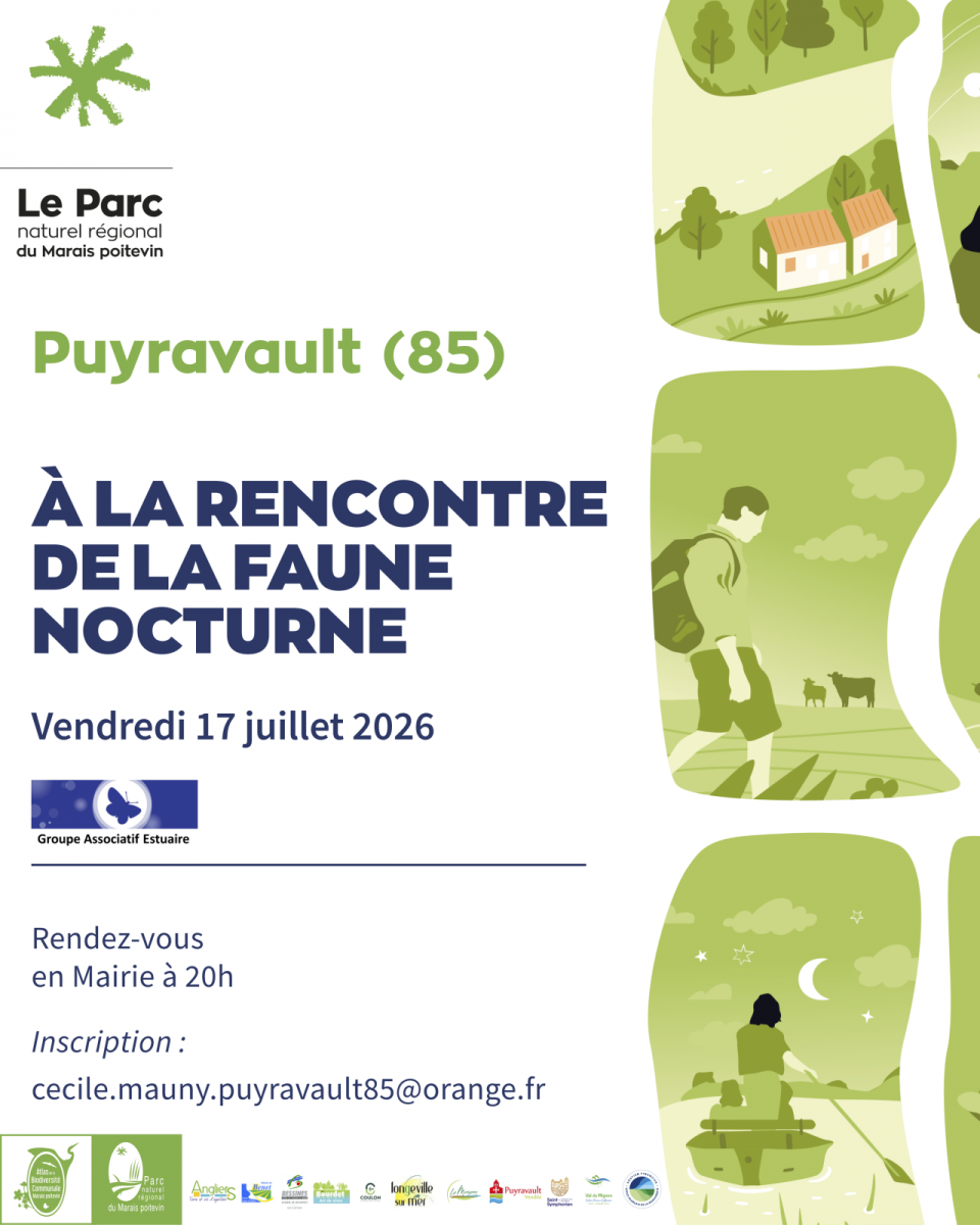 puyravault-17-7-26